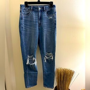 American Eagle Distressed Mom Jeans
